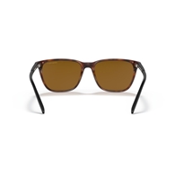 ARNETTE AN4291 - 277083 CORTEX