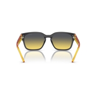 ARNETTE AN4325 - 27862Q HAMIE
