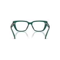 EMPORIO ARMANI EA3256U - 6252