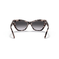 EMPORIO ARMANI EA4176 - 54108G