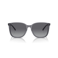 EMPORIO ARMANI EA4206D - 5029T3