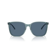 EMPORIO ARMANI EA4206D - 593480
