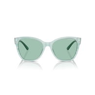 EMPORIO ARMANI EA4222U - 611271