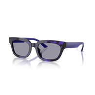EMPORIO ARMANI EA4233U - 618380