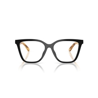 EMPORIO ARMANI EA4254U - 62691W