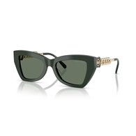 MICHAEL KORS MK2205 - 40063H MONTECITO