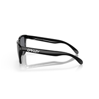 OAKLEY OO9013 - 24-306 FROGSKINS