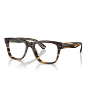 OLIVER PEOPLES OV5393U - 1003 OLIVER