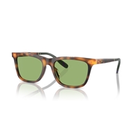 POLO PH4205U - 6089/2