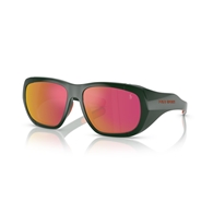 POLO PH4219U - 55966Q