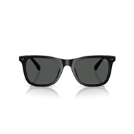 POLO PH4220U - 500187