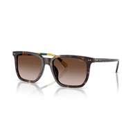 POLO PH4224U - 500313