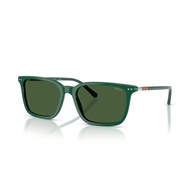 POLO PH4226 - 542171