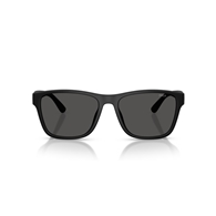POLO PH4229U - 500187