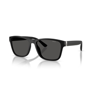 POLO PH4229U - 500187