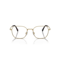 PERSOL PO1010V - 515