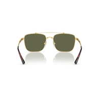 PERSOL PO2487S - 110958