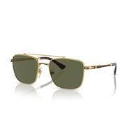 PERSOL 0PO2487S - 110958