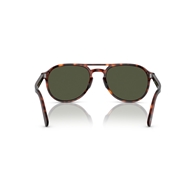 PERSOL 0PO3235S - 24/31 EL PROFESOR SERGIO