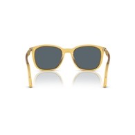 PERSOL 0PO3355S - 204/R5