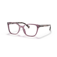 RALPH RA7137U - 6008