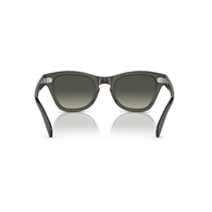 RAY-BAN RB0707S - 664271