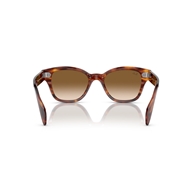 RAY-BAN RB0880S - 954/51