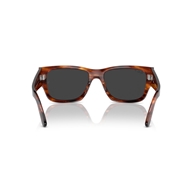 RAY-BAN RB0947S - 954/48 CARLOS
