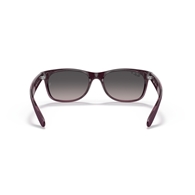RAY-BAN RB2132 - 6606M3 NEW WAYFARER