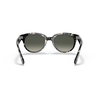 RAY-BAN RB2199 - 133371 ORION