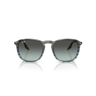 RAY-BAN RB2203 - 1391GK