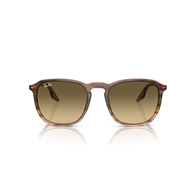 RAY-BAN RB2203 - 13920A