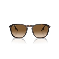 RAY-BAN RB2203 - 902/51