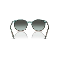 RAY-BAN RB2204 - 1394GK