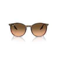 RAY-BAN RB2204 - 13953B