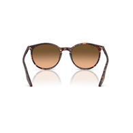 RAY-BAN RB2204 - 14293B