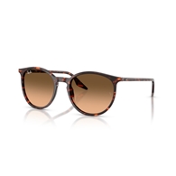 RAY-BAN RB2204 - 14293B