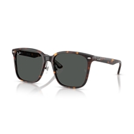 RAY-BAN RB2206D - 710/87