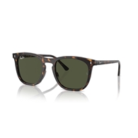 RAY-BAN RB2210 - 902/31