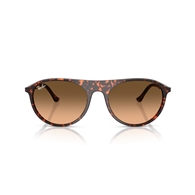 RAY-BAN RB2215 - 14293B