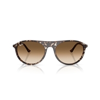 RAY-BAN RB2215 - 143151
