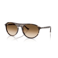 RAY-BAN RB2215 - 143151