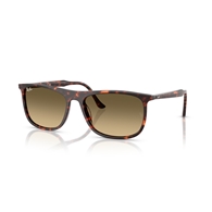 RAY-BAN RB2216 - 14290A