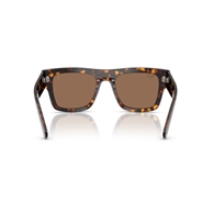 RAY-BAN RB2217M - F61373