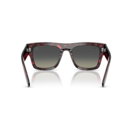 RAY-BAN RB2217M - F70511