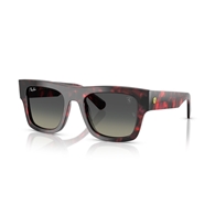 RAY-BAN RB2217M - F70511