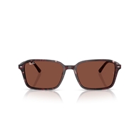 RAY-BAN RB2231 - 1416C5 RAIMOND