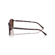 RAY-BAN RB2231 - 1416C5 RAIMOND