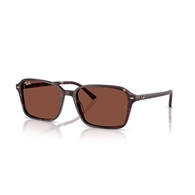 RAY-BAN RB2231 - 1416C5 RAIMOND
