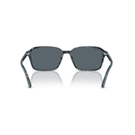 RAY-BAN RB2231 - 1417R5 RAIMOND